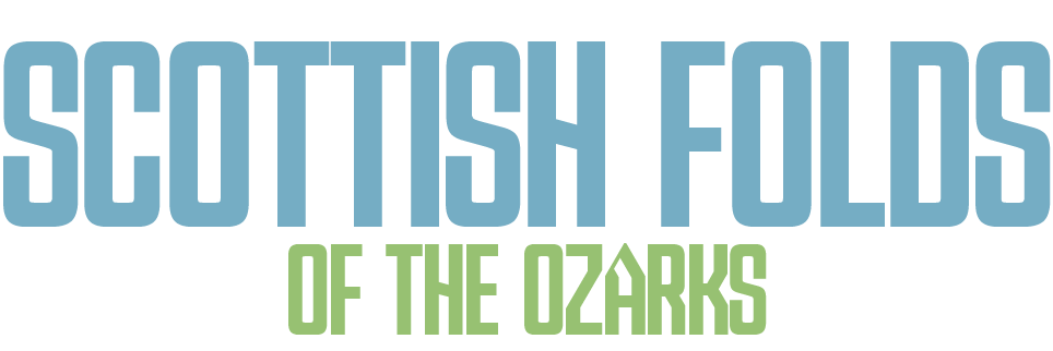 Scottish Folds of the Ozarks
